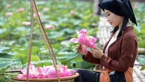 Lotus flower in Vietnamese culture and traditional life